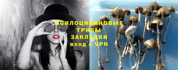 дживик Магадан